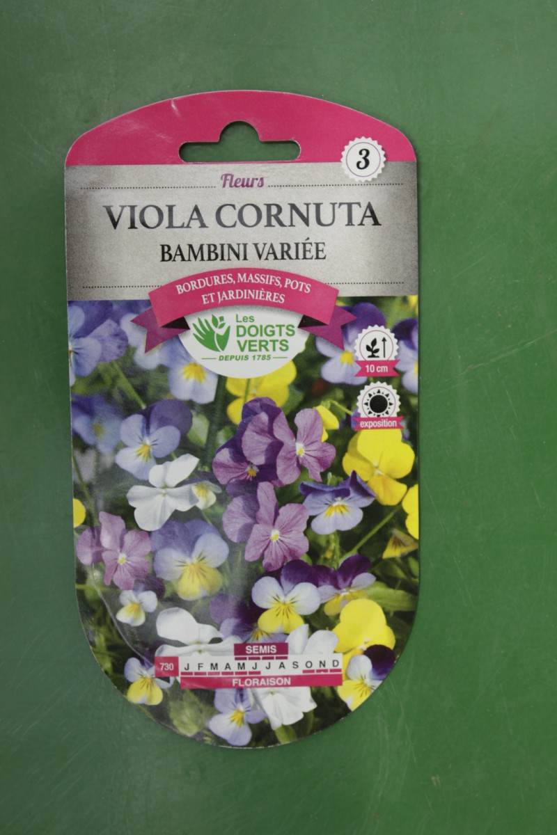 Viola cornuta bambini variée - Jardi Pradel - Jardinerie et fleuriste à  Bagnères-de-Luchon