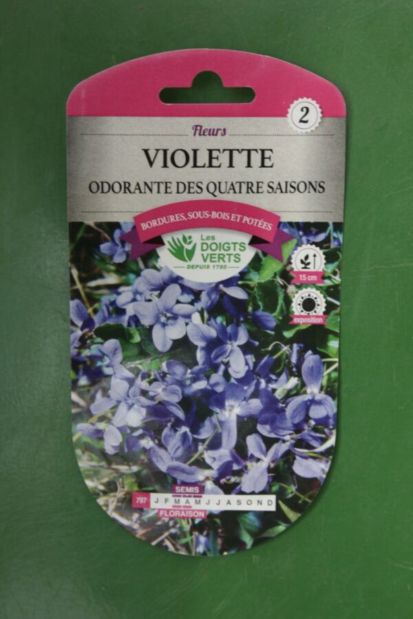 Graines violette odorante des quatre saisons Doigts Verts Jardipradel