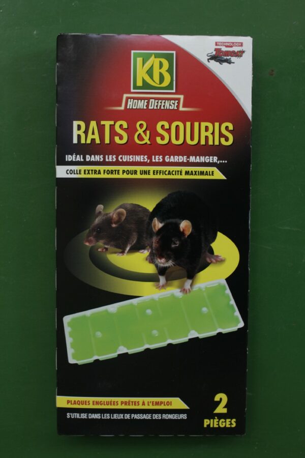 Plaques colle engluees rats souris x2 2 Jardi Pradel Luchon