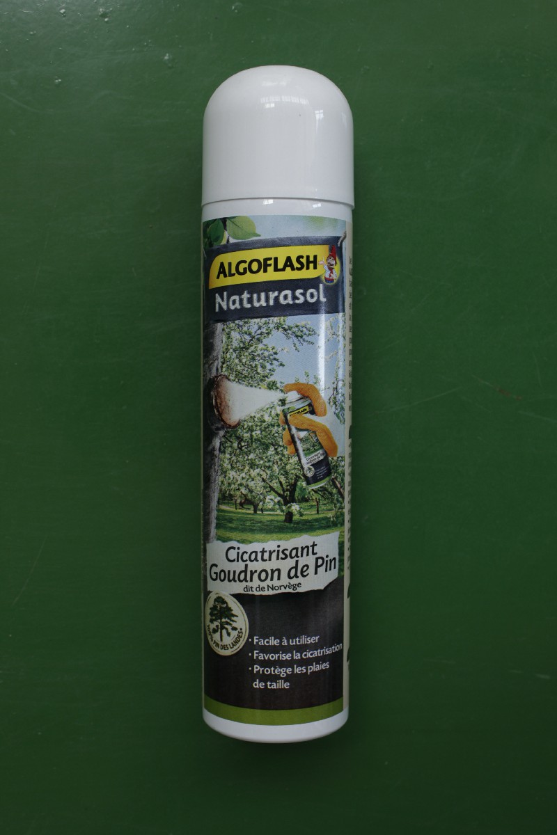 Anti-Insectes et Acariens Aérosol Algoflash