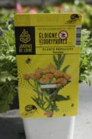 Tanaisie Plante repulsive doryphores 1 Jardi Pradel Luchon