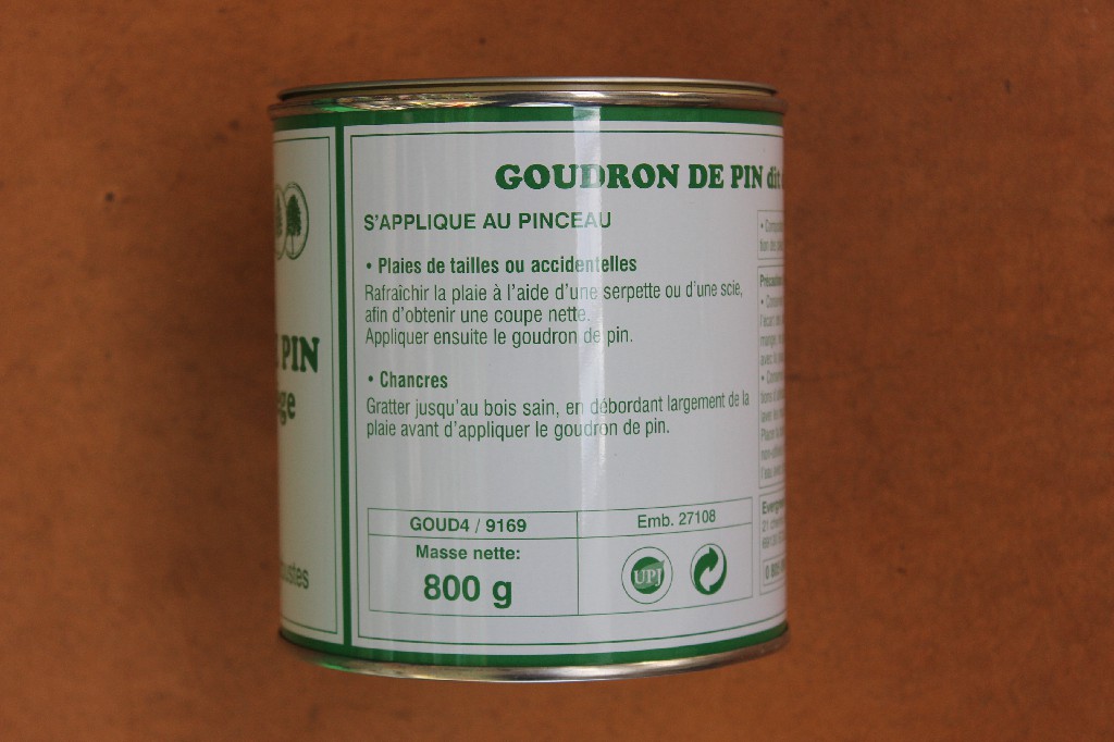 Goudron de pin de Norvège 800g Pelton - Jardi Pradel - Jardinerie et  fleuriste à Bagnères-de-Luchon