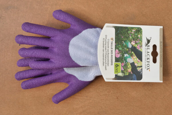 Gants Rosier Violet Blackfox Jardi Pradel 1