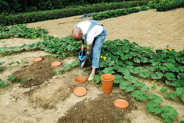 AquaDO Deroma 32 cm Jardi Pradel Jardinerie a Luchon