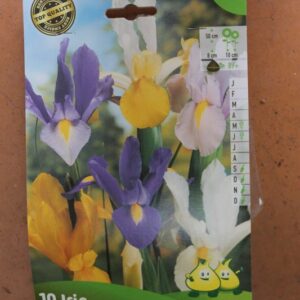 10-iris-melange-2-Bulbes-fleuris-Jardi-Pradel-Jardinerie-Luchon