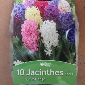 Goudron de pin de Norvège 800g Pelton - Jardi Pradel - Jardinerie et  fleuriste à Bagnères-de-Luchon