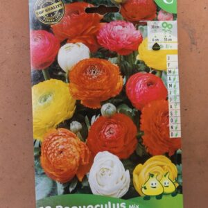 10-renoncules-melange-2-Bulbes-fleuris-Jardi-Pradel-Jardinerie-Luchon