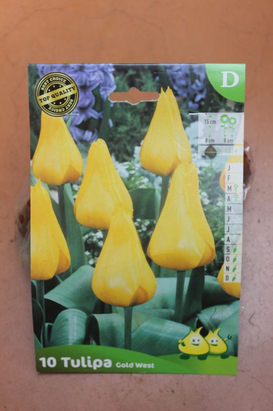 10-tulipes-Cold-West-2-Bulbes-fleuris-Jardi-Pradel-Jardinerie-Luchon