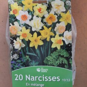 20-narcisses-10-12-melange-2-Bulbes-fleuris-Jardi-Pradel-Jardinerie-Luchon