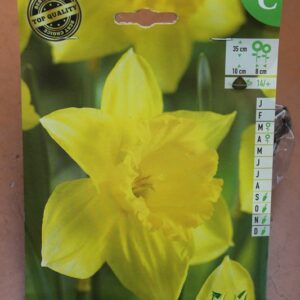 5-narcisses-Carlton-2-Bulbes-fleuris-Jardi-Pradel-Jardinerie-Luchon