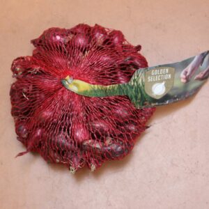 Oignon-rouge-Karmen-250g-1-Bulbes-fleuris-Jardi-Pradel-Jardinerie-Luchon