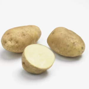 Bintje-Pomme-de-terre-Jardi-Pradel-Jardinerie-Luchon