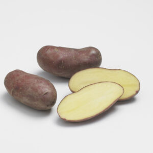 Cherie-Pomme-de-terre-Jardi-Pradel-Jardinerie-Luchon