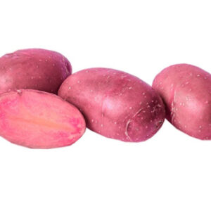 Lily-rose-Pomme-de-terre-Jardi-Pradel-Jardinerie-Luchon