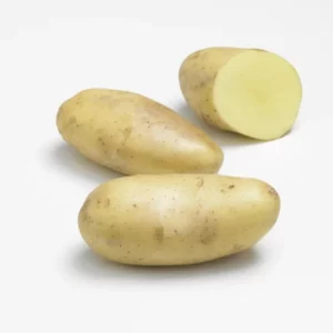 Spunta-Pomme-de-terre-Jardi-Pradel-Jardinerie-Luchon