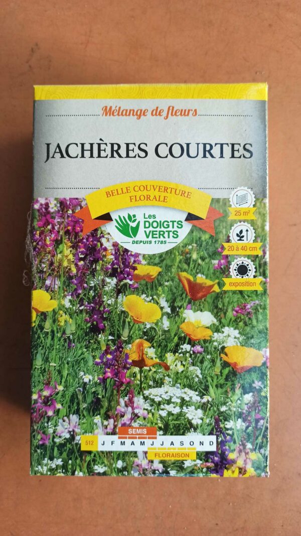 Melange-de-fleurs-jacheres-courtes-Les-Doigts-Verts-Graines-de-fleurs-Jardin-Jardi-Pradel-2