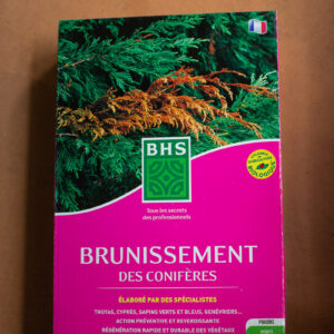 Brunissement des conifères BHS (2) - Jardi Pradel jardinerie et fleuriste à Bagnères de Luchon (31)