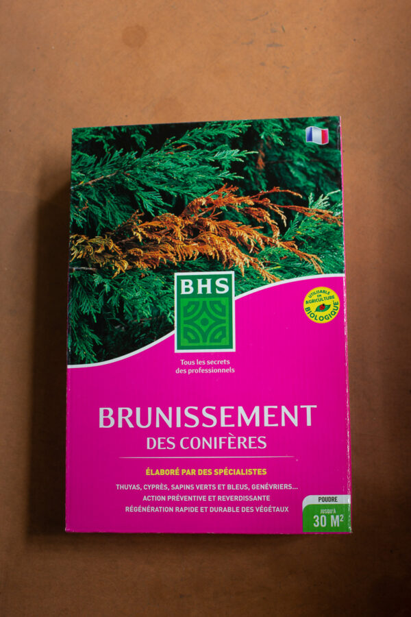 Brunissement des conifères BHS (2) - Jardi Pradel jardinerie et fleuriste à Bagnères de Luchon (31)