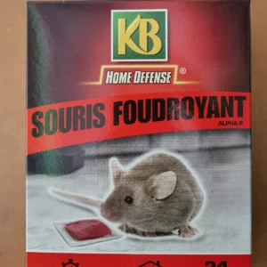 Raticide souricide 24 pâtes 10g - KB