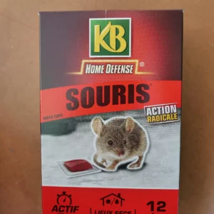 Raticide souricide 12 pâtes 10g - KB
