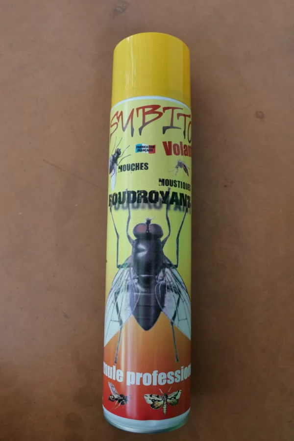 Spray mouches foudroyant 600ml - Subito