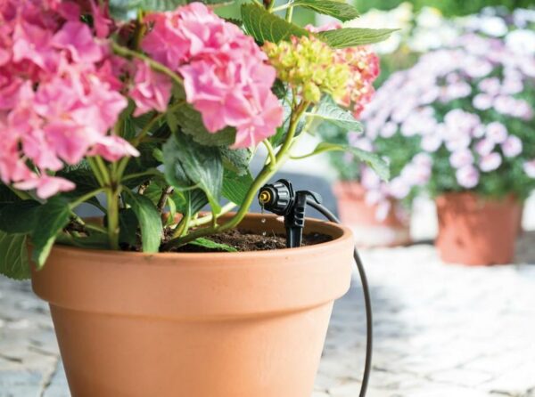 Kit micro irrigation Easy Drip 4mm - Hozelock – Image 2