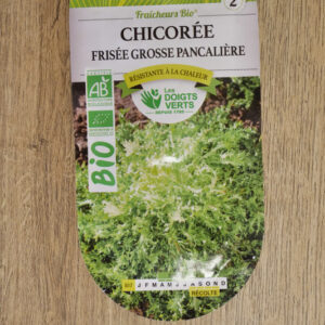 Chicorée frisée grosse pancalière Bio
