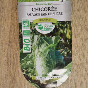 Chicorée sauvage Pain de sucre Bio