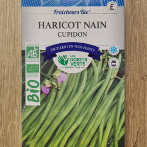 Haricot nain cupidon Bio (100g)