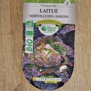 Laitue Merveille des 4 saisons Bio