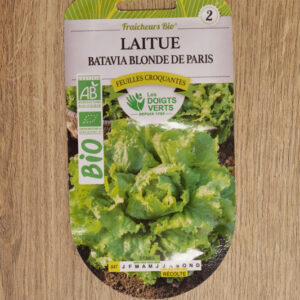 Laitue batavia Blonde de Paris Bio