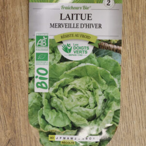 Laitue merveille d'hiver Bio
