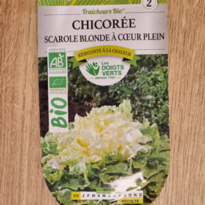 Chicorée scarole blonde à coeur plein Bio