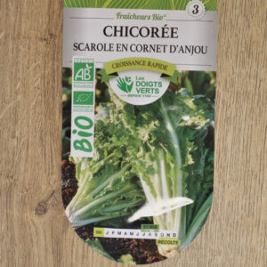 Chicorée scarole en Cornet d'Anjou Bio