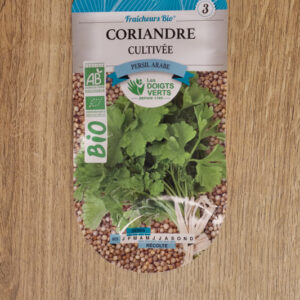 Coriandre cultivée Bio