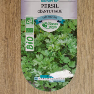 Persil géant d'Italie Bio