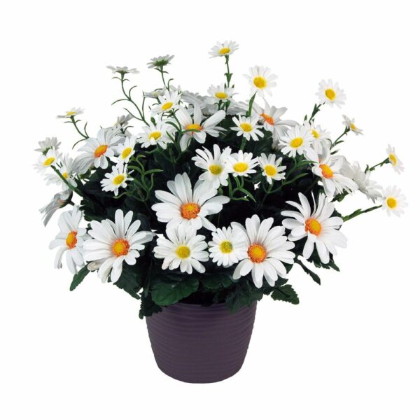 Coupe marguerite H.39cm