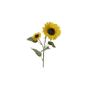 Tournesol sur tige