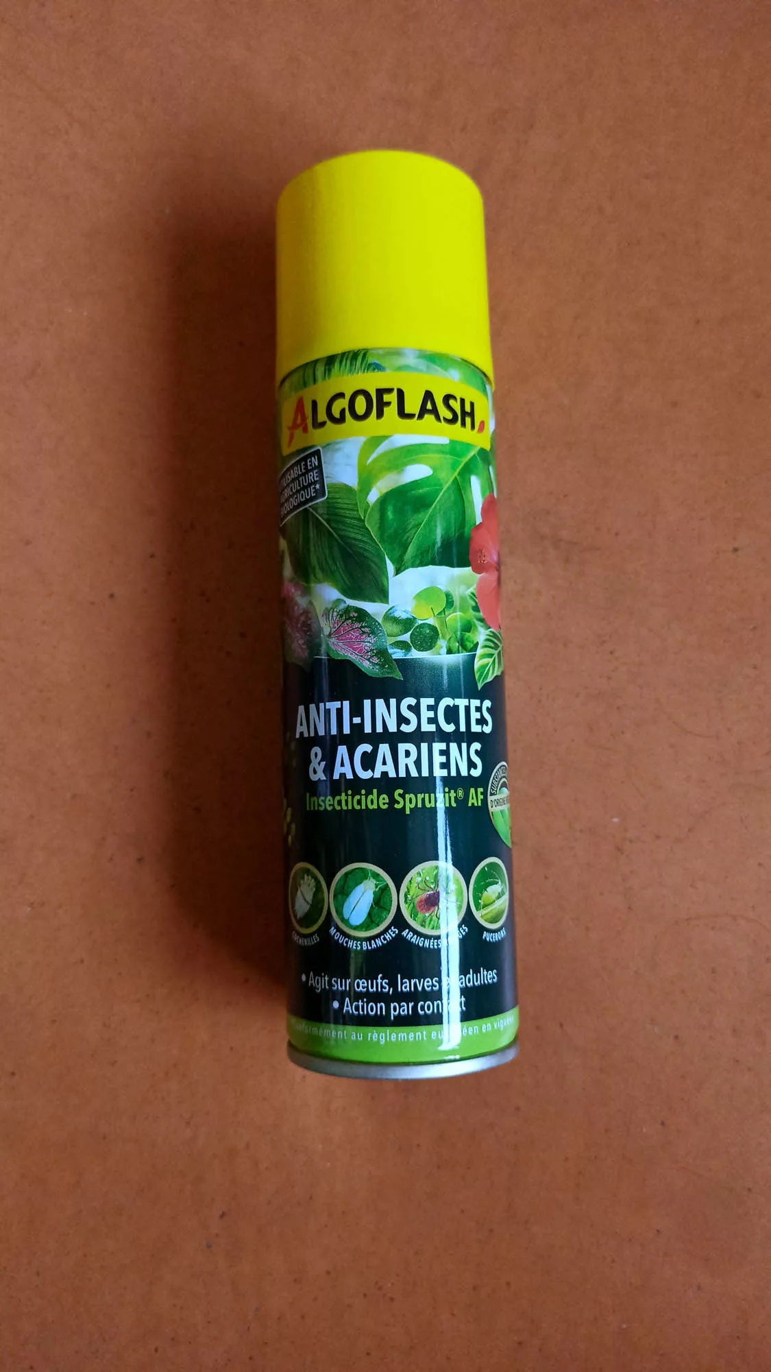 Anti-insectes et acariens bombe 200ml - Algoflash