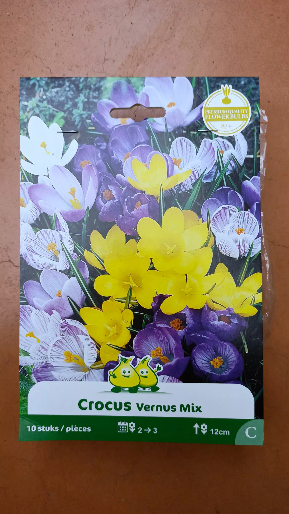 Crocus Vernus mix x10